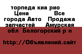 торпеда киа рио 3 › Цена ­ 10 000 - Все города Авто » Продажа запчастей   . Амурская обл.,Белогорский р-н